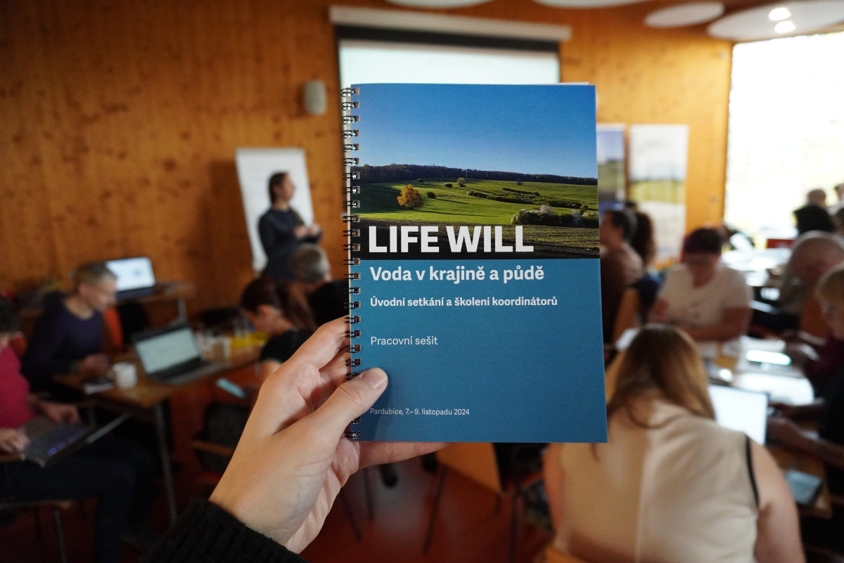 LIFE WILL: PHASE 2!