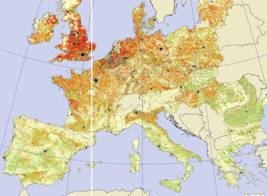 The Environmental and Geopolitical Ramifications of Synthetic Fertilisers