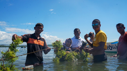 Why Training Seaweed Farmers Is Key to Better Carrageenan and Sustainable Livelihoods