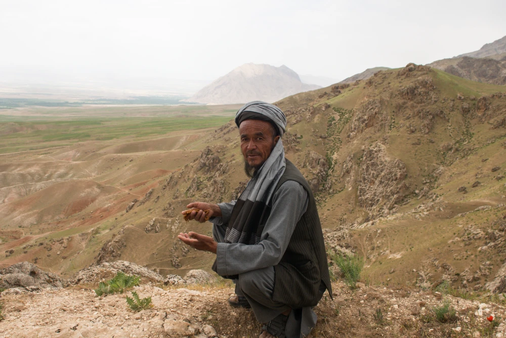 Afghanistan