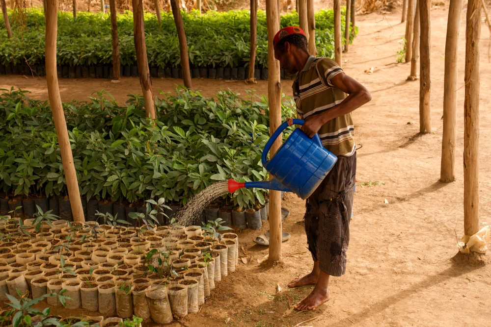 Ethiopia